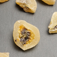 パッションフルーツ