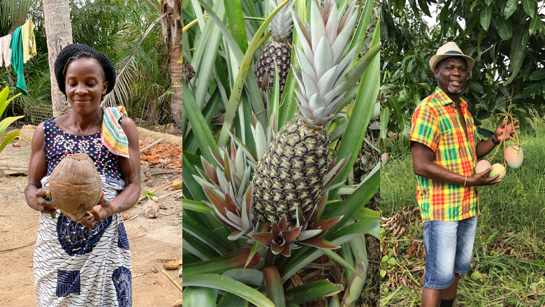 ガーナの契約農家の方々とフルーツ