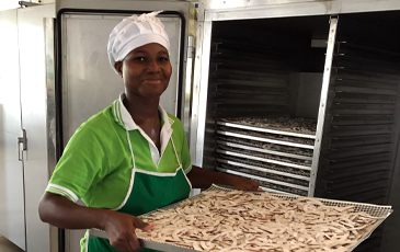 “ココナッツを乾燥機に入れるところ”