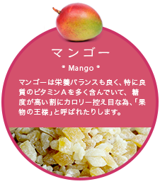 ドライフルーツ袋_マンゴー