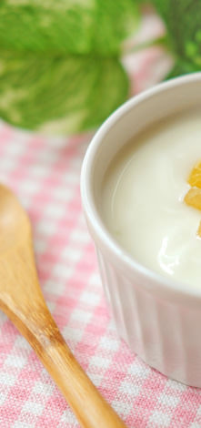 ドライフルーツヨーグルト