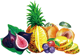 フィグ&パインファイバー