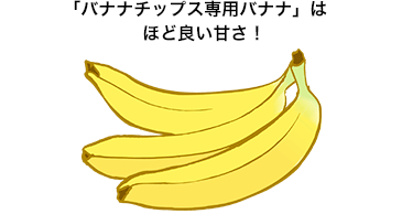 バナナチップス専用バナナはほど良い甘さ！