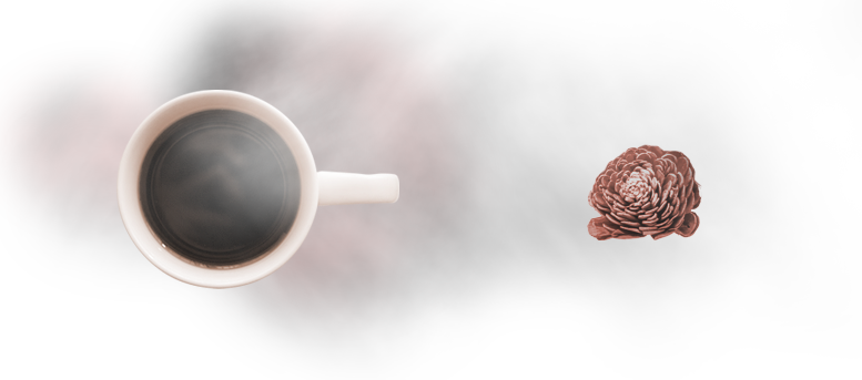 コーヒーと松毬