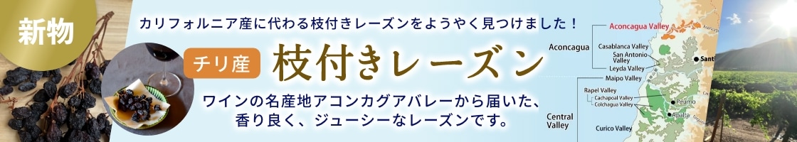 新物 チリ産 枝付きレーズン