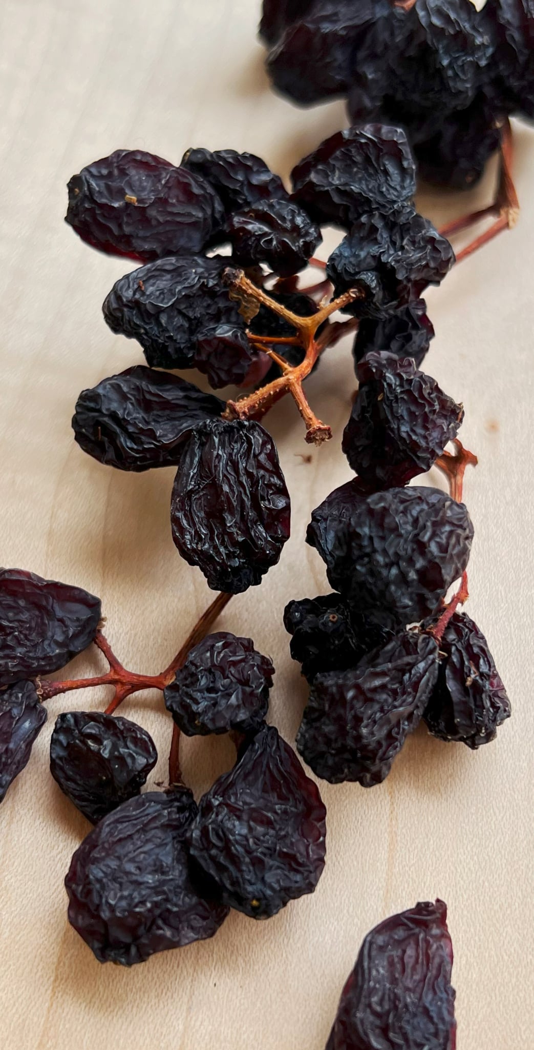 チリ産　枝付レーズン