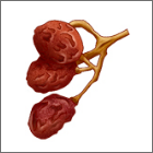 マラガ枝付きレーズン[スペイン産]コクのある甘さすっきりした酸味