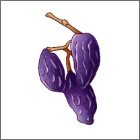 枝付きレーズン[チリ産]香りがとてもよく、優しい甘み