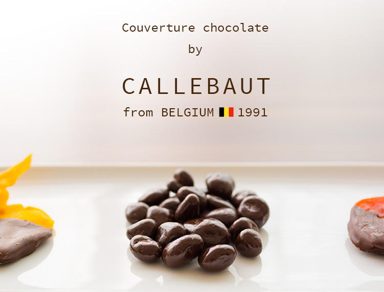 KOJIMAYA DRIED FRUIT CHOCOLATE