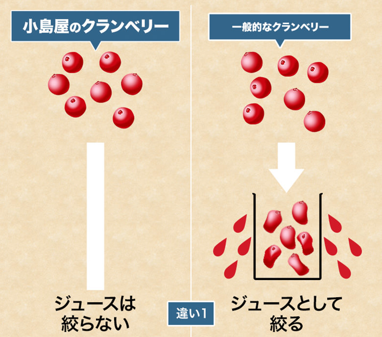 小島屋のクランベリーが美味しい理由1