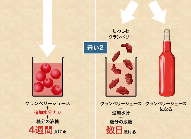 小島屋のクランベリーが美味しい理由2