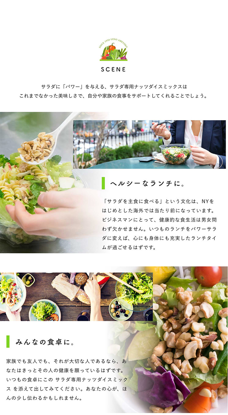 パワーサラダ専用ナッツダイスミックス