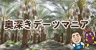 奥深きデーツマニア