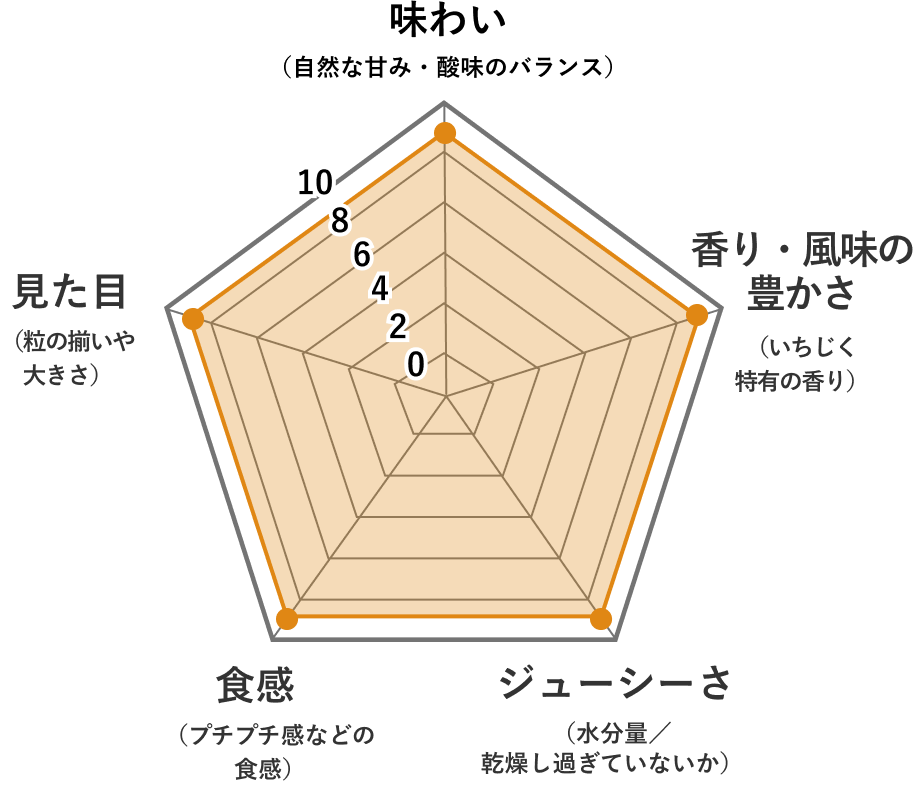 小島屋のドライフルーツ評価