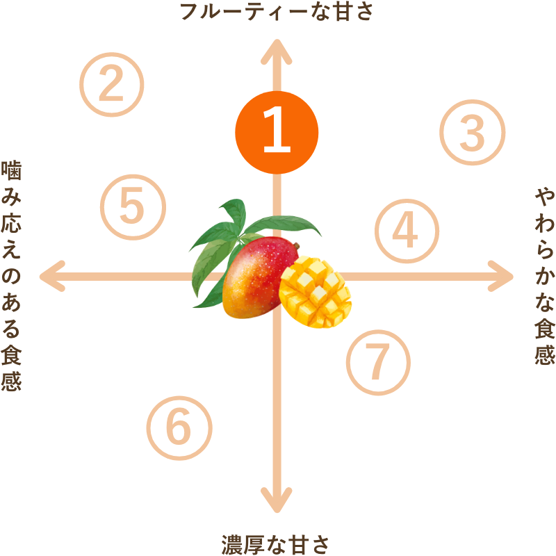 一番人気 無添加 カンボジア産ドライマンゴー