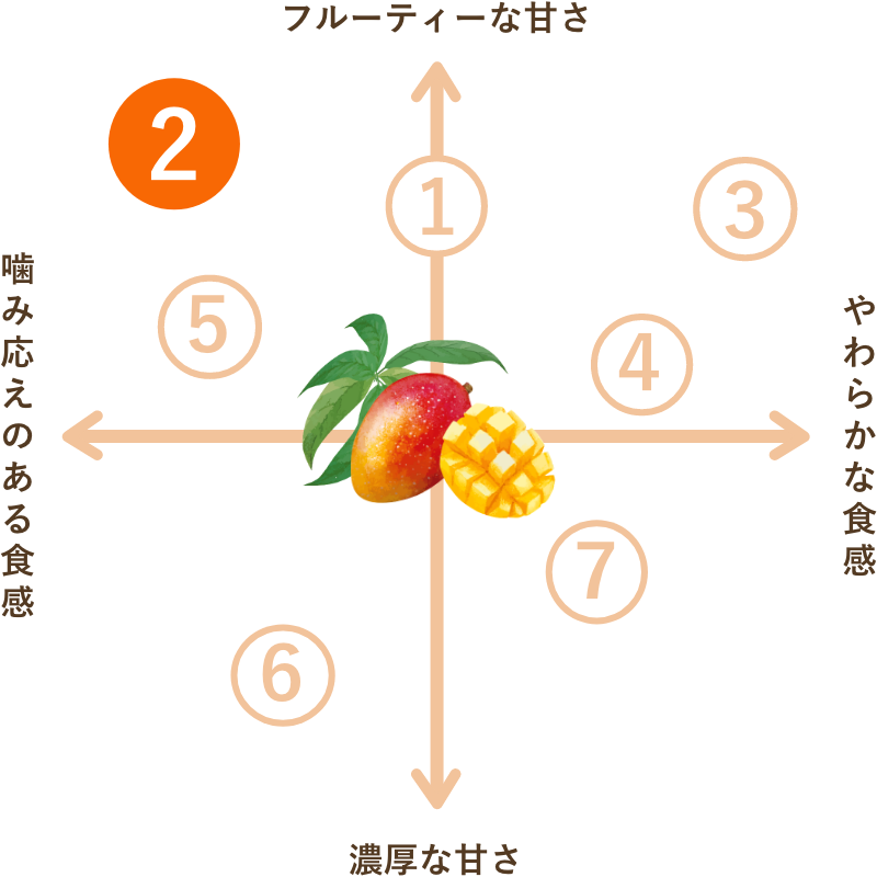 フィリピン産 無添加 ドライマンゴー