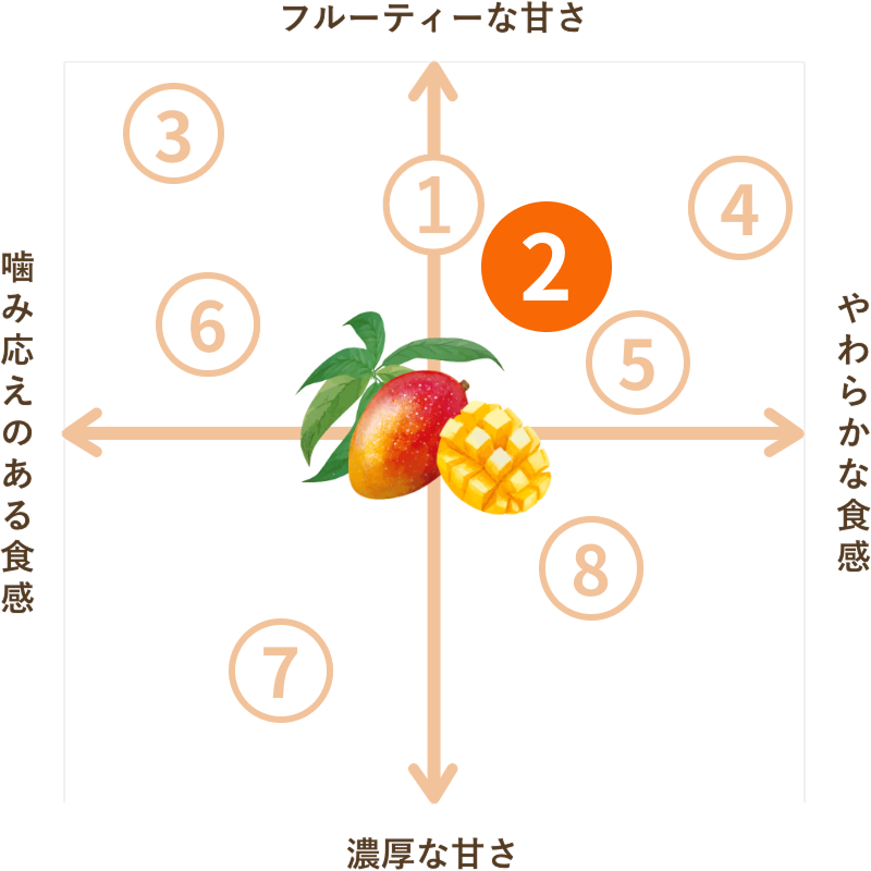 超微糖 種周りの不揃いドライマンゴー