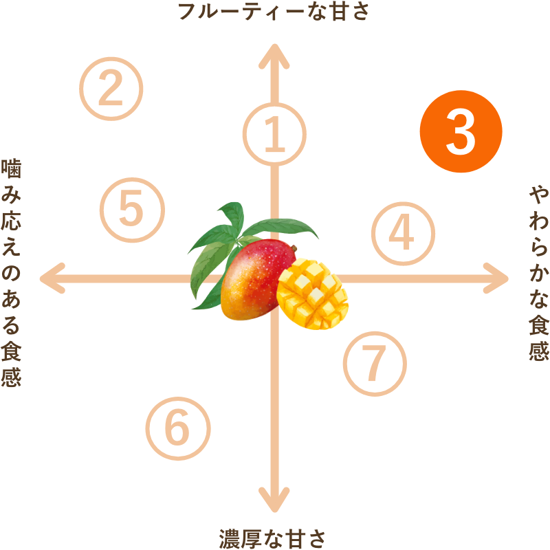 フィリピン産 ドライマンゴー