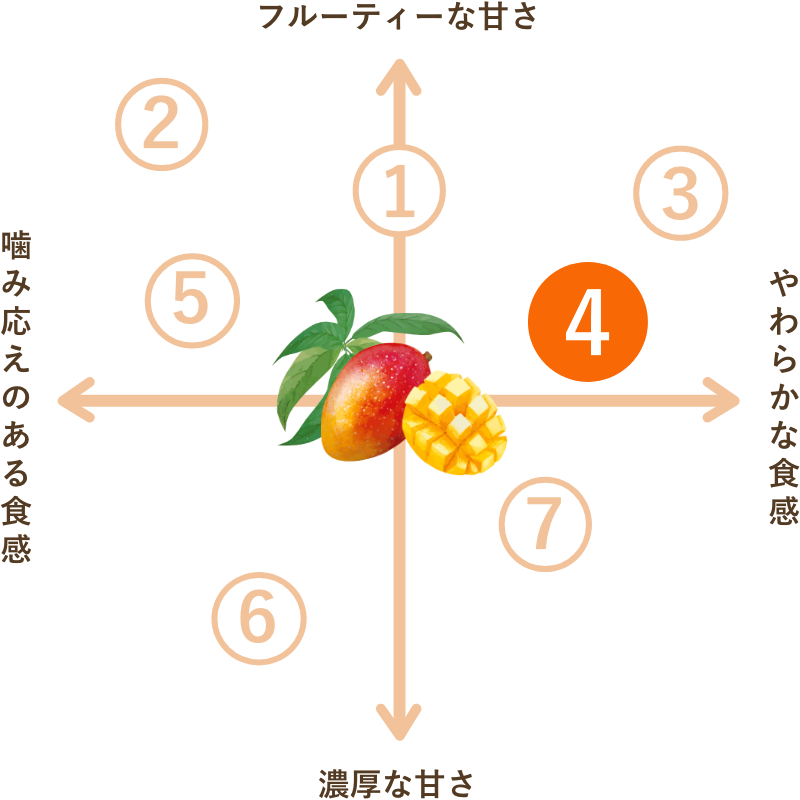 フィリピン産 不揃いタイプ ドライマンゴー