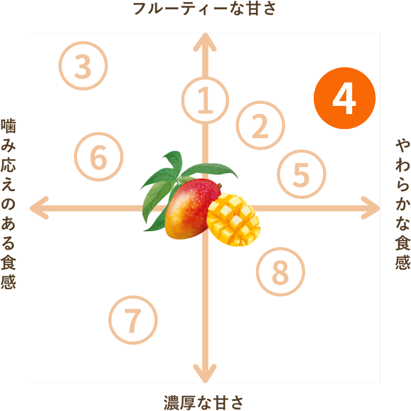フィリピン産 ドライマンゴー