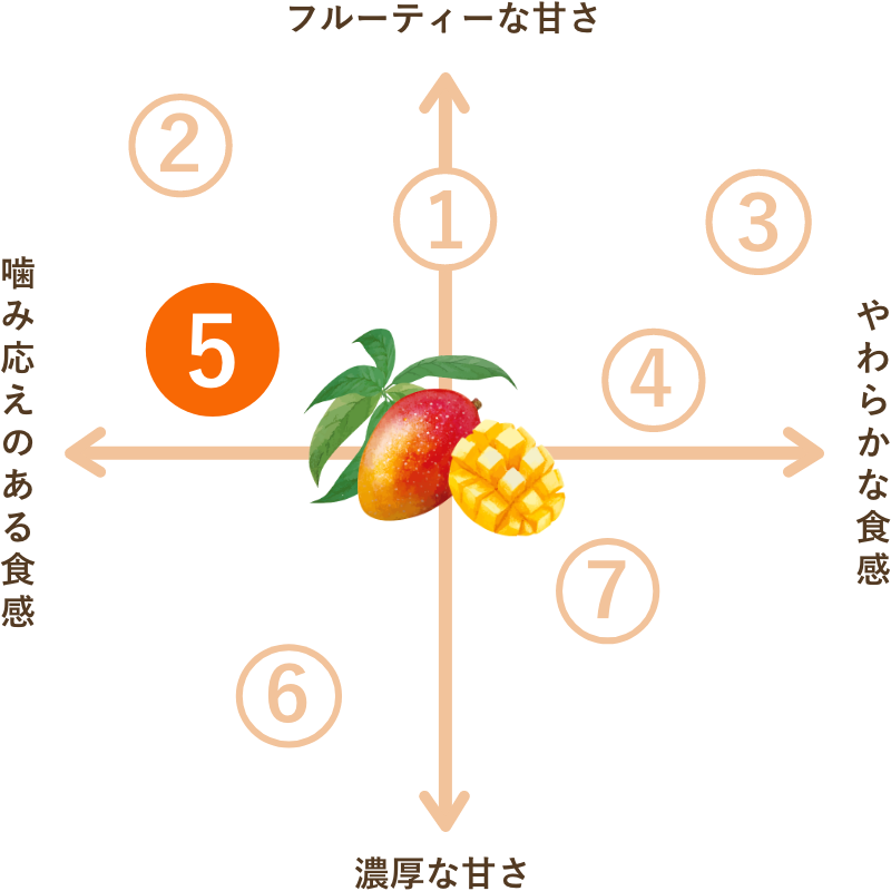 タイ産 無添加 ドライマンゴー