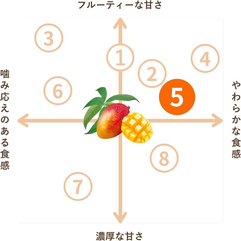 フィリピン産 不揃いタイプ ドライマンゴー