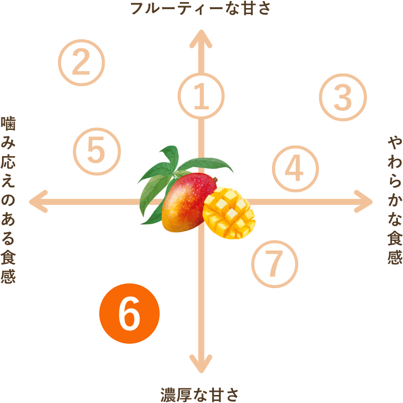 タイ産 ドライマンゴー