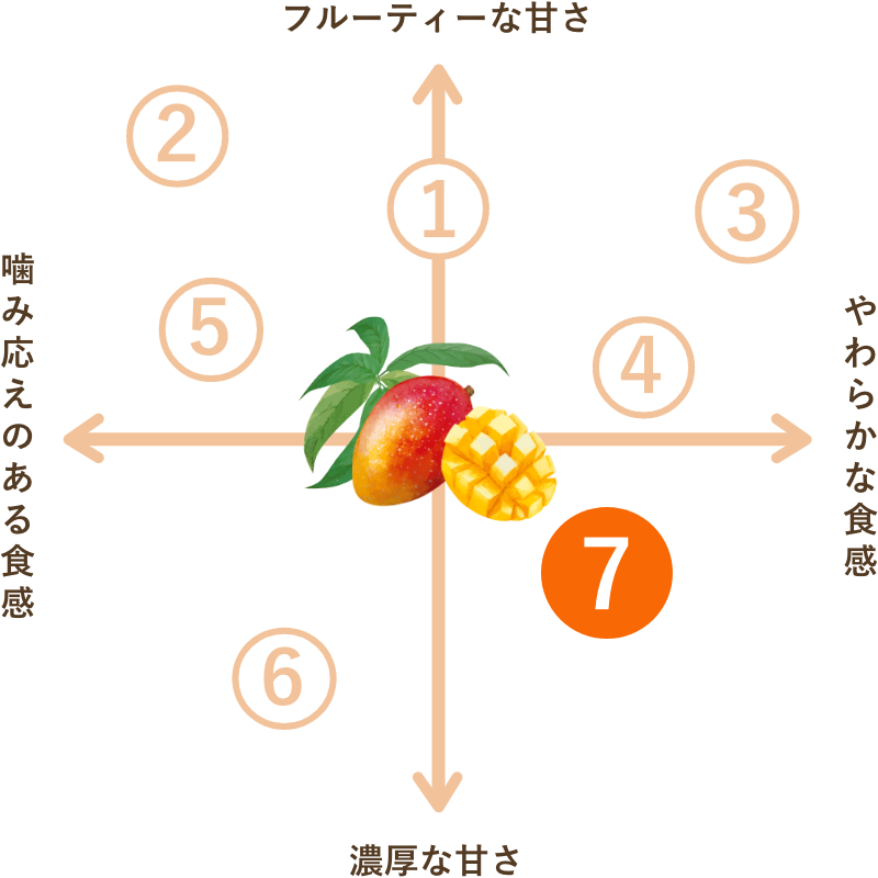 タイ産 ソフトタイプ ドライマンゴー