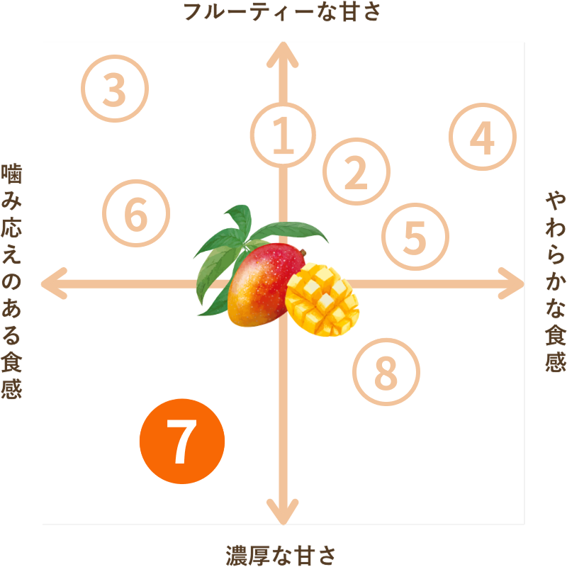 タイ産 ドライマンゴー