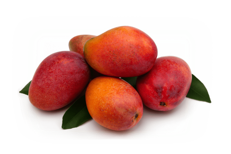 世界中から美味しいドライマンゴーを１1種類揃えました。