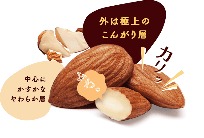素材の旨味