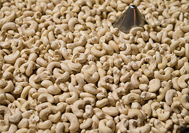 焙煎すること１０分程度。強火で一気にローストします