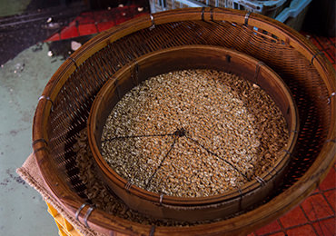 振り落とされたカシューは、ここでさようなら