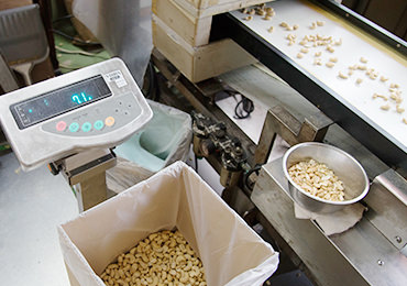 きれいに選別されたナッツは