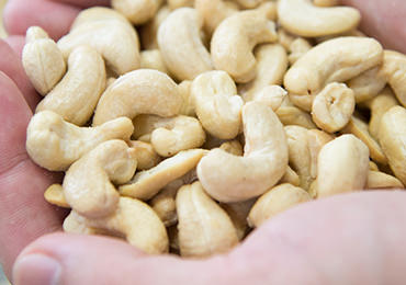 できたてホヤホヤのカシューナッツ