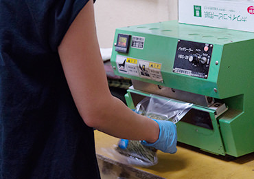 丁寧に空気を抜きながらパッキングしていきます