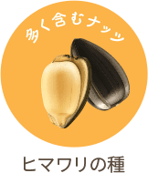 ひまわりの種