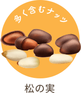 松の実