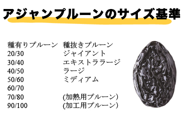 “アジャンプルーンと呼べるサイズの基準値は細かい”