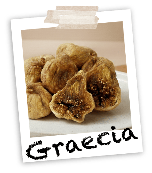 Graecia
