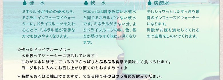 インフューズドウォーター専用ドライフルーツミックス