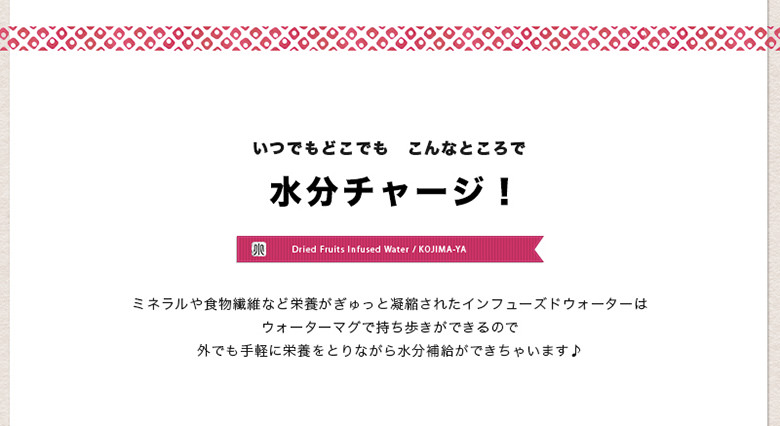 インフューズドウォーター専用ドライフルーツミックス
