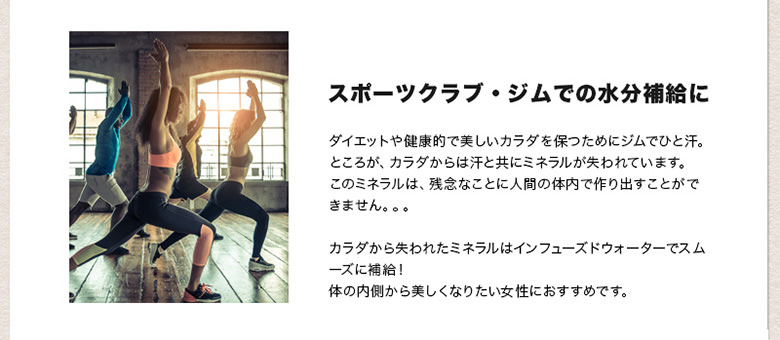 インフューズドウォーター専用ドライフルーツミックス