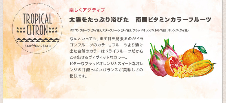 インフューズドウォーター専用ドライフルーツミックス