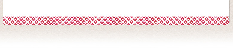 インフューズドウォーター専用ドライフルーツミックス