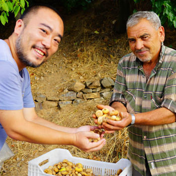 海外の買い付けの写真