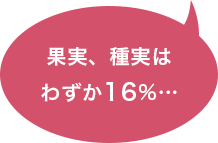 果実は、種実はわずか16%