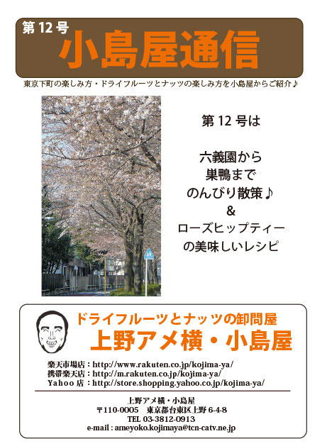 小島屋通信サムネイル