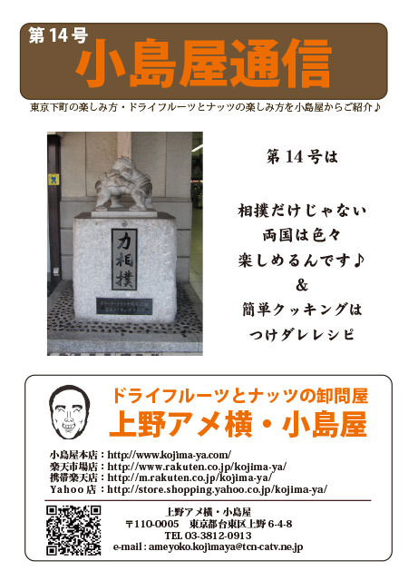 小島屋通信サムネイル