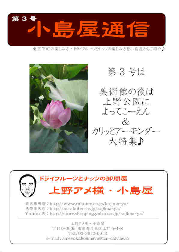 小島屋通信サムネイル